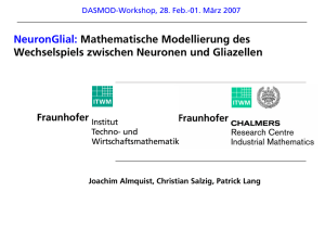 NeuronGlial: Mathematische Modellierung des