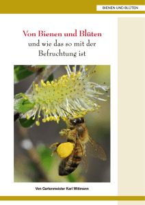 Von Bienen und Blüten - Imkerinnen und Imker Wien West