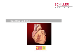 Das Herz und EKG