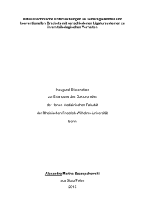 pdf-Dokument - Universität Bonn