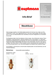 Staubläuse - Hauptmann GmbH