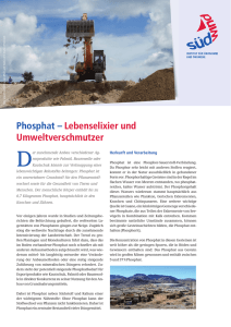 Phosphat – Lebenselixier und Umweltverschmutzer