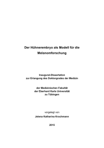 Dissertation Krochmann 2015