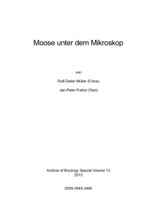 Moose unter dem Mikroskop - Mikroskopisches Kollegium Bonn
