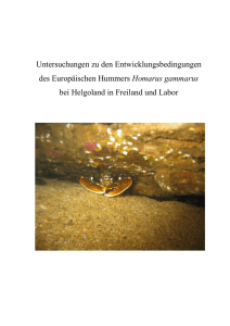 Untersuchungen zu den Entwicklungsbedingungen des - ePIC