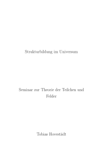 Strukturbildung im Universum Seminar zur Theorie der Teilchen und