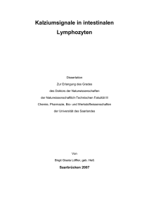 Kalziumsignale in intestinalen Lymphozyten