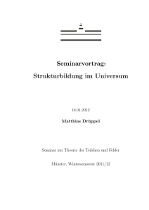 Seminarvortrag: Strukturbildung im Universum