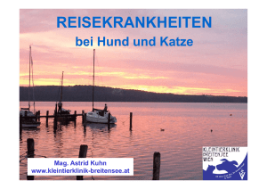 reisekrankheiten