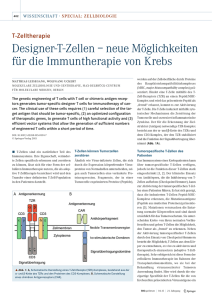 Designer-T-Zellen – neue Möglichkeiten für die