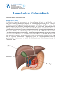 Laparoskopische Cholezystektomie
