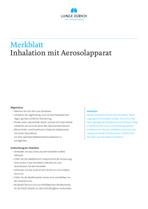 Merkblatt Inhalation mit Aerosolapparat - Lunge