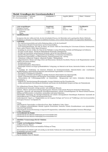 Modulhandbuch ab Wintersemester 2007 BSc