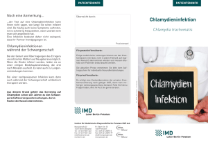 chlamydien- infektion