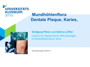 Mundhöhlenflora - Medizinische Mikrobiologie