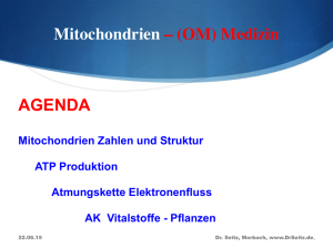 Mitochondrien – (OM) Medizin AGENDA