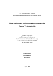 Untersuchungen zur Immunisierung gegen die Equine Virale Arteritis