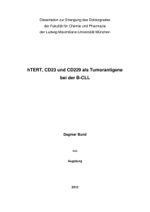 hTERT, CD23 und CD229 als Tumorantigene bei der B-CLL