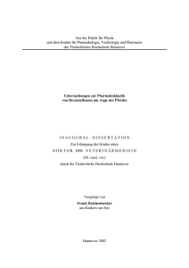 Dissertation Frank Reichenbecker (2002)