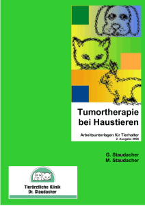 Chemotherapie-Information im Detail