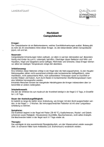 Merkblatt Campylobacter - Landratsamt Schwarzwald-Baar