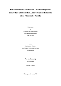 Biochemische und strukturelle Untersuchungen der Biosynthese