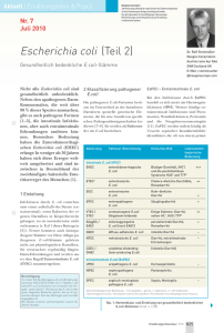 Escherichia coli (Teil 2)