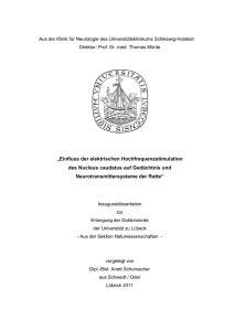 „Einfluss der elektrischen Hochfrequenzstimulation des Nucleus