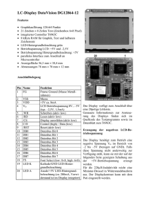 LC-Display DataVision DG12864-12