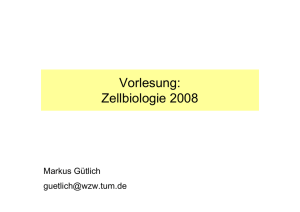 Vorlesung: Zellbiologie 2008