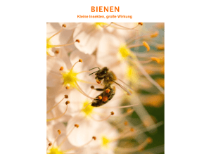 bienen - Bayer Bee Care