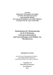 Mechanismen der Metastasierung des B16 Melanoms