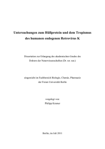 Untersuchungen zum Hüllprotein und dem Tropismus des humanen