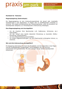 4 Information Gastroskopie (Magenspiegelung)