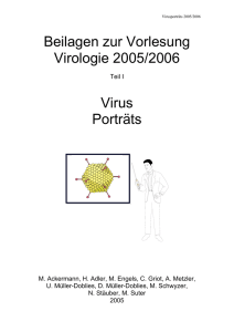 virus - InterActive MediaDesign