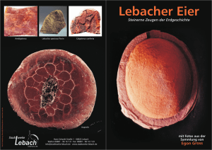 Flyer Lebacher Eier.cdr