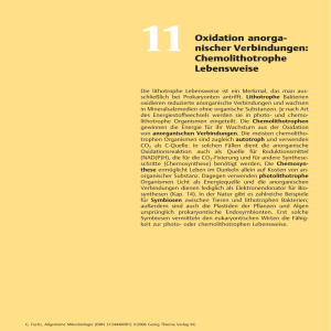 11 Oxidation anorga- nischer Verbindungen