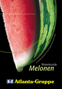 Warenkunde Melonen - khd-Blog