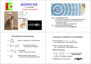 biophysik