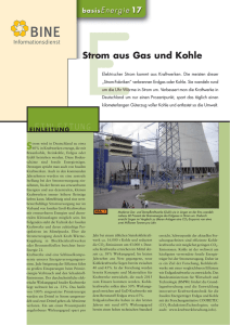 Strom aus Gas und Kohle - BINE Informationsdienst