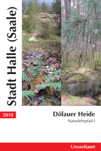 Dölauer Heide