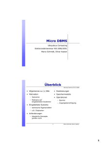 Micro DBMS - The Distributed Systems Group