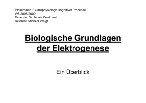 Biologische Grundlagen der Elektrogenese