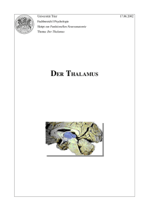 thalamus - auf der SeifSeit