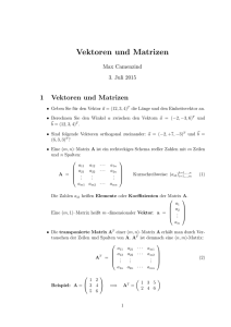 Vektoren und Matrizen