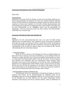 Experimente mit polarisiertem Licht an Spalt und Doppelspalt