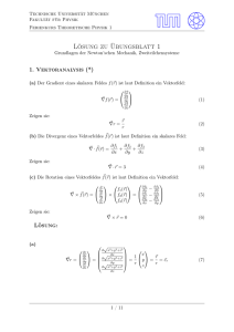 Lösung zu Übungsblatt 1 - TUM-Physik