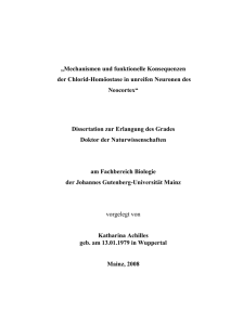 &bdquo;Mechanismen und funktionelle Konsequenzen der Chlorid
