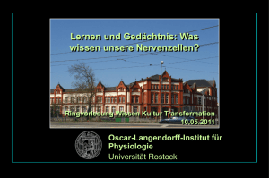 Kein Folientitel - Universität Rostock
