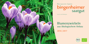 Blumenzwiebeln - Bingenheimer Saatgut